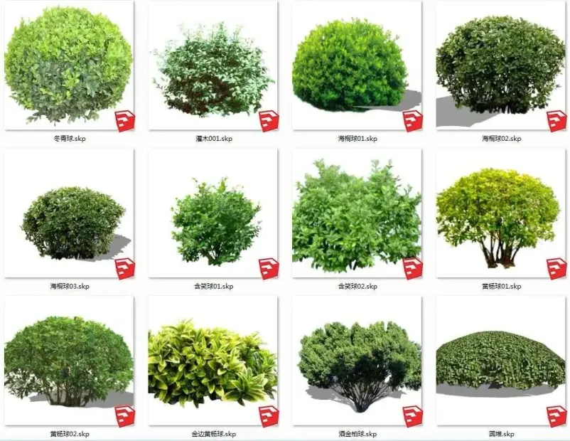 Sketchup植物库，含2D和3D两种类型，乔木灌木花卉等多种常见植物，写实风、简笔风、手绘风等多重风格-1