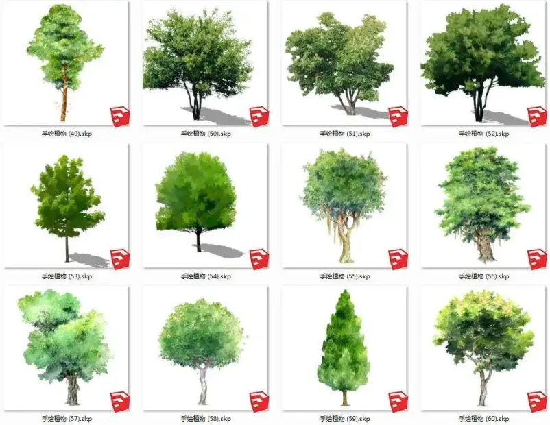 Sketchup植物库，含2D和3D两种类型，乔木灌木花卉等多种常见植物，写实风、简笔风、手绘风等多重风格-4
