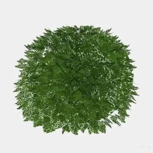 Sketchup植物库，含2D和3D两种类型，乔木灌木花卉等多种常见植物，写实风、简笔风、手绘风等多重风格-8