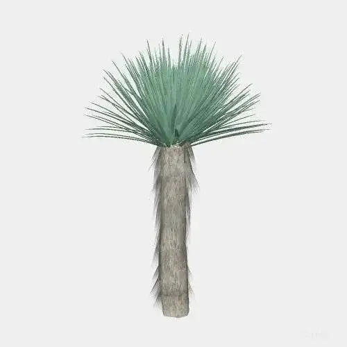 Sketchup植物库，含2D和3D两种类型，乔木灌木花卉等多种常见植物，写实风、简笔风、手绘风等多重风格-9