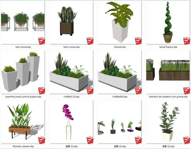 Sketchup植物库，含2D和3D两种类型，乔木灌木花卉等多种常见植物，写实风、简笔风、手绘风等多重风格-3